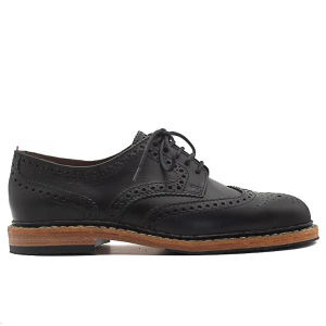 chaussures ector Tricolore